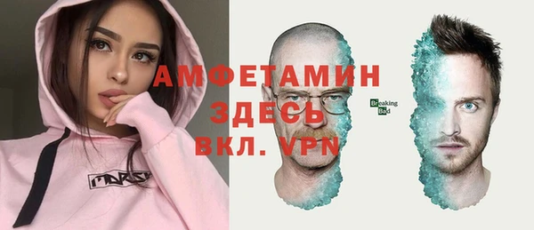 дмт Вяземский